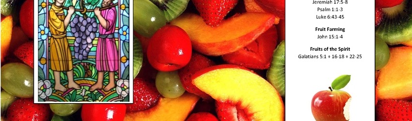Food and the Bible Session 1 - Fruit